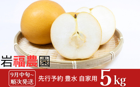 豊水 先行予約 和梨 豊水 自家用 5kg [9月中旬～順次発送予定]  豊水 訳アリ 豊水 梨 [岩福農園] 