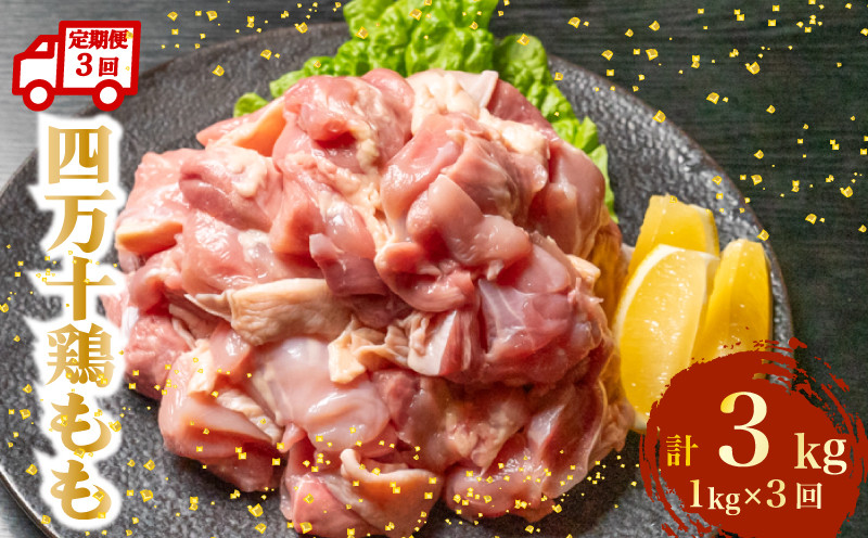 
            【定期便3回】銘柄鶏 四万十鶏 もも肉 計3kg（1kg×3ヶ月連続お届け) 4Xコース | 切身 カット 時短 小分け カット済み 鳥肉 とりにく 鶏もも 冷凍 国産 ブランド 唐揚げ 煮物 鍋 チキン 南蛮 高知県 須崎市 TM104000
          