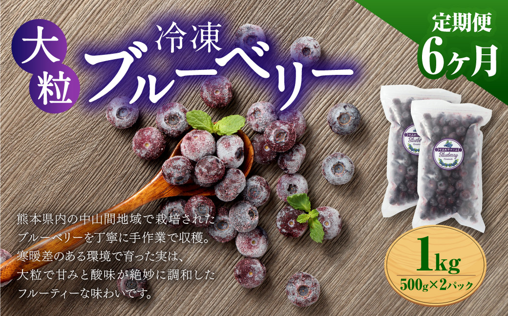
                  【6か月連続定期便】 熊本県産 大粒 冷凍ブルーベリー 1kg（500g×2パック）×6回 合計6kg  フルーツ 果物 くだもの 冷凍 ブルーベリー 国産
                