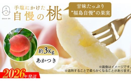 No.2668もも「あかつき」約3kg【2026年発送 先行予約】