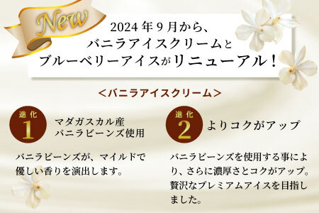 バニラビーンズ香る！バニラアイスクリーム＆いなぶのブルーベリーアイス 16個セット 10000円 アイスクリーム ブルーベリー