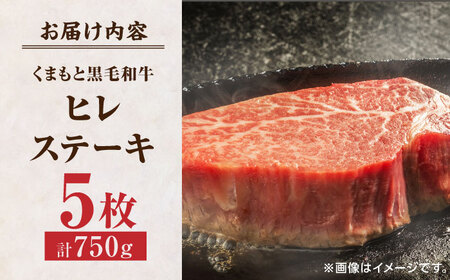 くまもと黒毛和牛 ヒレステーキ 計750g（5枚）【馬刺しの郷 民守】 熊本県産 九州産 和牛 お肉 肉 ステーキ ヒレ ヒレステーキ 黒毛和牛 熊本ヒレステーキ 九州産ヒレステーキ 和牛ヒレステーキ