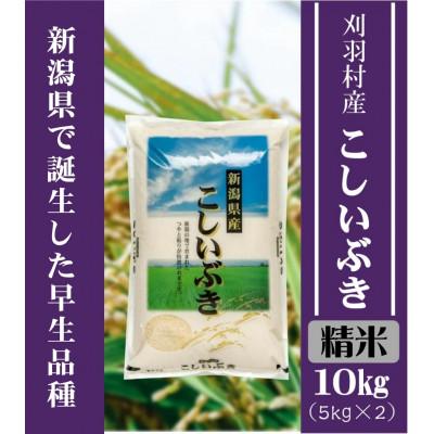 ふるさと納税 刈羽村 【新潟県早生品種】【精米】刈羽村産こしいぶき 10kg(5kg×2袋)