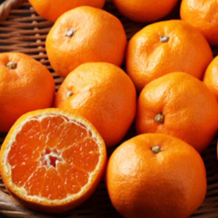 和歌山県産 有田みかん 約4kg 秀品 ※2025年10月中旬～2026年1月下旬頃に順次発送予定 ※北海道・沖縄・離島への配送不可