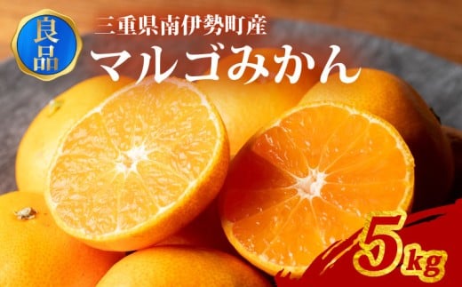 訳あり みかん 温州みかん 約5kg 良品 家庭用 期間限定 柑橘 蜜柑 mikan フルーツ 果物 くだもの 傷 ふるさと納税訳あり 国産 ブランド 三重県 伊勢 志摩 南伊勢町 マルゴみかん JA伊勢 10000円 1万円