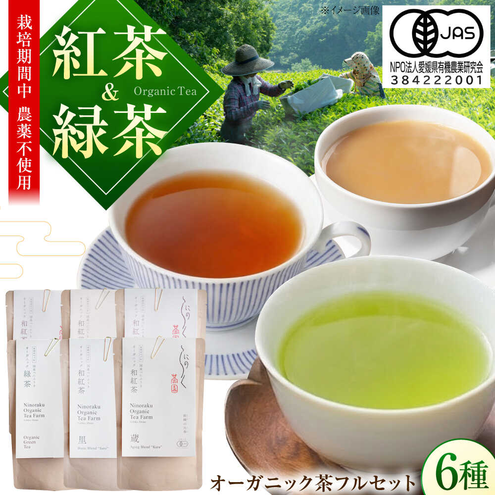 【ふるさと納税】べにふうきを味わい尽くす オーガニック和紅茶＆緑茶フルセット (6種 計6個) ／ べにふうき 和紅茶 緑茶 詰め合わせ セット 内子町 国産 人気 おすすめ 送料無料 お茶 有機 贈り物 ギフト プレゼント 四国 【にのらく茶園】[BKBR006] 17000 17000円