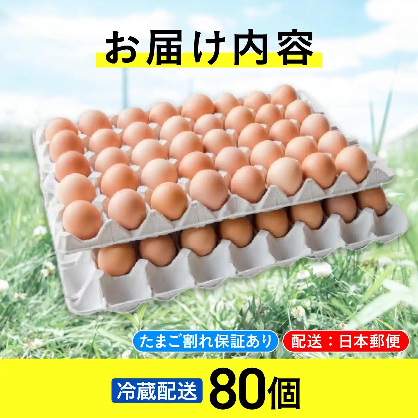 平飼い有精卵 80個 冷蔵便 北海道 [AXAN075]
