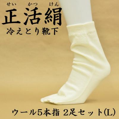 ふるさと納税 羽島市 正活絹 冷えとり靴下 ウール5本指 2足セット(Lサイズ)