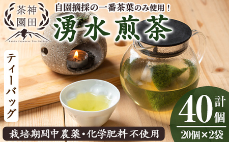 鹿児島県湧水町産！栽培期間中農薬・化学肥料不使用！湧水煎茶ティーバッグ 計40個(20個×2袋) 国産 九州産 鹿児島県産 茶葉 お茶 茶 日本茶 緑茶 煎茶 ティーバッグ ギフト 贈答 プレゼント 贈り物 【神田茶園】_y519