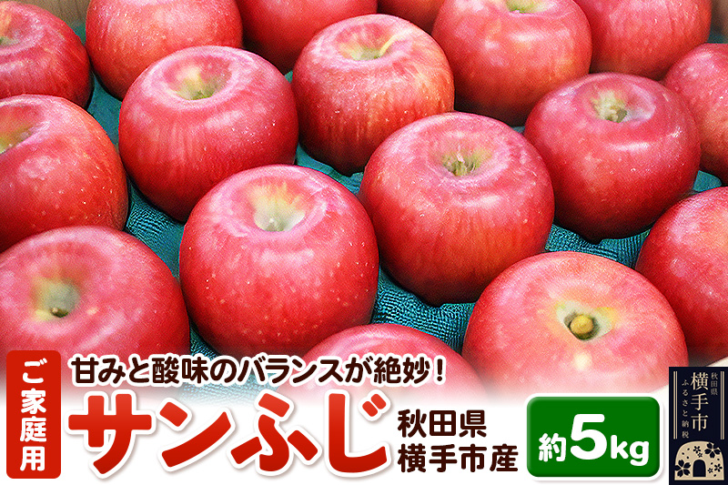 【先行受付】12月上旬より発送 秋田県横手産 りんご サンふじ ご家庭用 約5kg