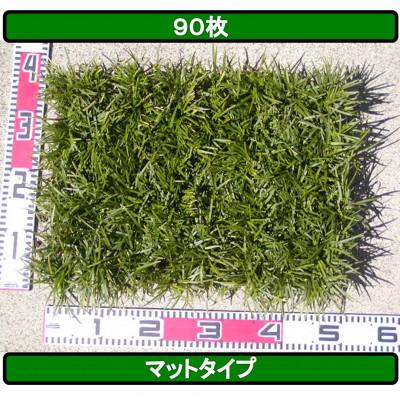 ふるさと納税 香美市 タマリュウ(玉竜) 90枚 タマリュウ.com