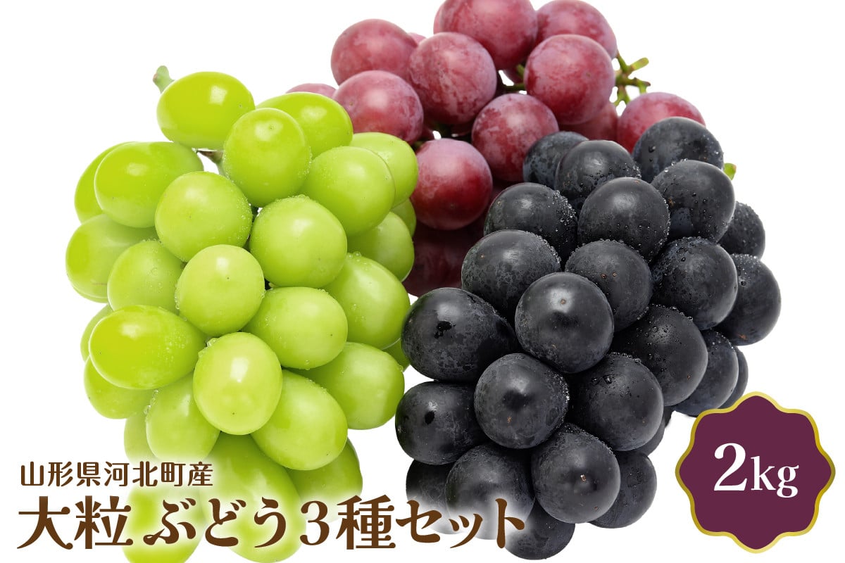 
            【令和7年産】大粒ぶどう3種セット 2kg 山形県河北町産【JAさがえ西村山】
          