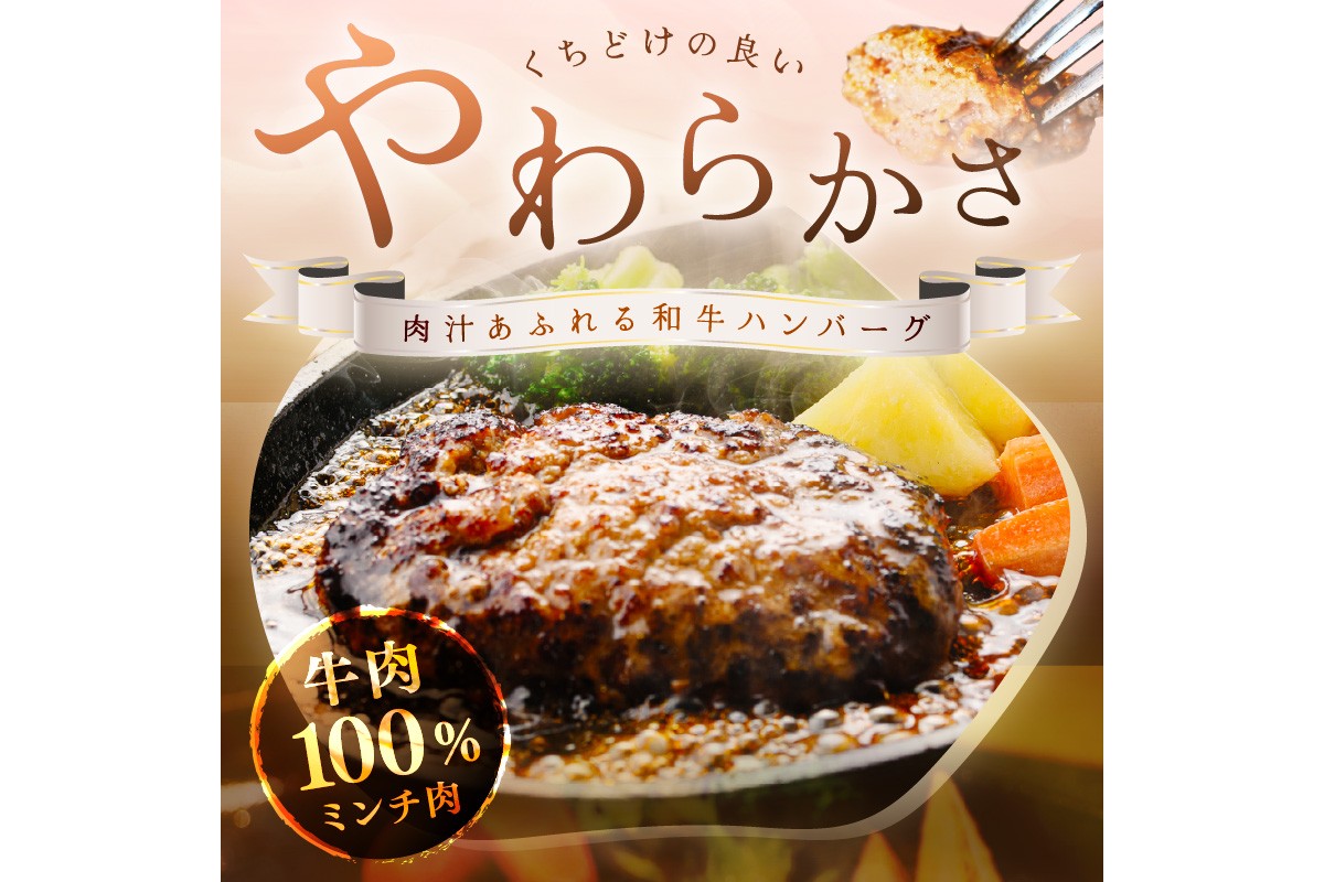 塩で食べるやわらかハンバーグ（デミグラスソース付）　国産 牛肉 はんばーぐ　NH00040