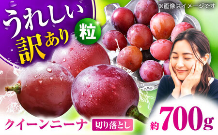 【2026年発送先行予約】訳あり クイーンニーナ ぶどう 切り落とし 約700g  【合同会社 社方園】[ZBZ039]