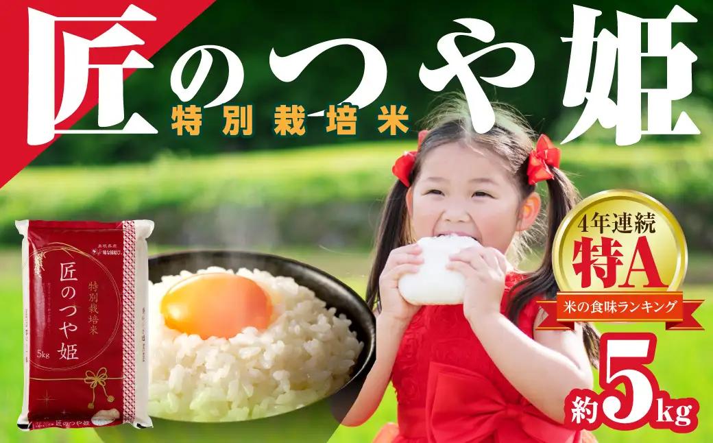 【令和７年産】特別栽培米匠のつや姫」５ｋｇ 【058_1859】