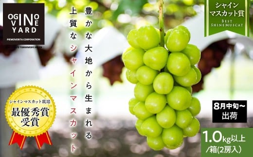 【2026年先行予約_8月中旬～発送】山梨県産シャインマスカット 1．０ｋｇ以上／箱　２房入 ALPAK004｜おすすめ 人気 山梨県 産地直送 フルーツ 果物 くだもの ブドウ ぶどう シャイン マスカット くだもの  国産 葡萄  新鮮