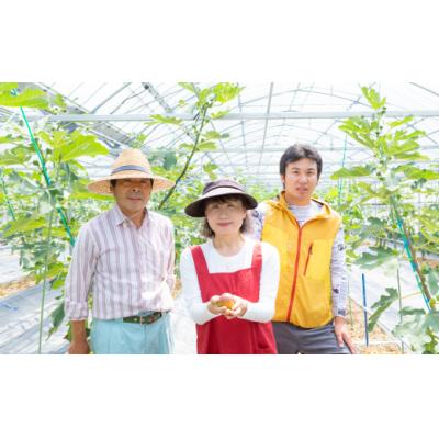 ふるさと納税  うきは市 【先行受付】渡辺農園 いちじく (とよみつひめ) 4パック 2025年7月下旬から8月下旬 出荷予定 |  | 03