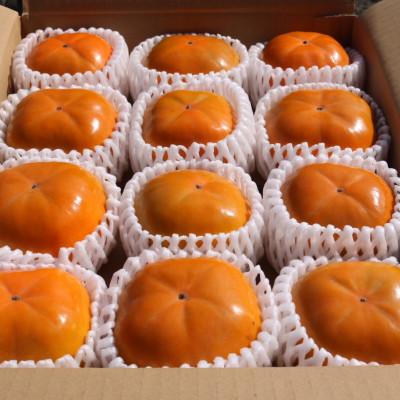 ふるさと納税 由良町 和歌山県産　柿　2.5kg |  | 01
