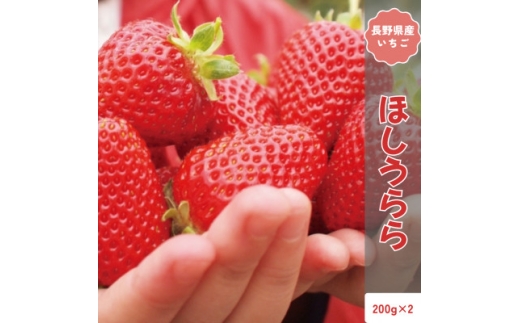 ＜2026年発送予定＞長野県産 いちご ほしうらら 2パック＜約400g＞【1705148】