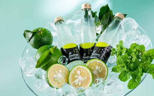 直七スパークリング 3本 エコバック付き サイダー 土佐 クラフトソーダー クラフト ソーダ フラクトサイダー 柑橘 直七 特産品 炭酸飲料 スパークリング 3本セット 宿毛市 高知県