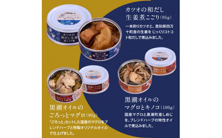 【ふるなびWEEK対象】グルメ缶詰 12缶セット〈黒潮町共通返礼品〉 【缶詰】FN-Limited-WE
