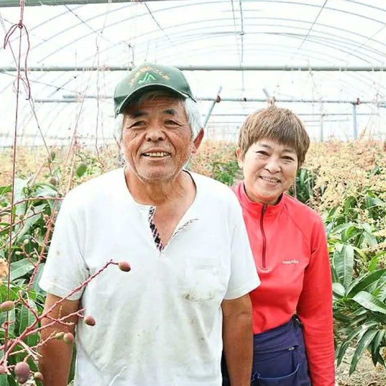 【2026年 観光雑誌付き】奄美産マンゴー 優品・美玉1kg とろける甘さの黄金果肉 樹上完熟 A052-019