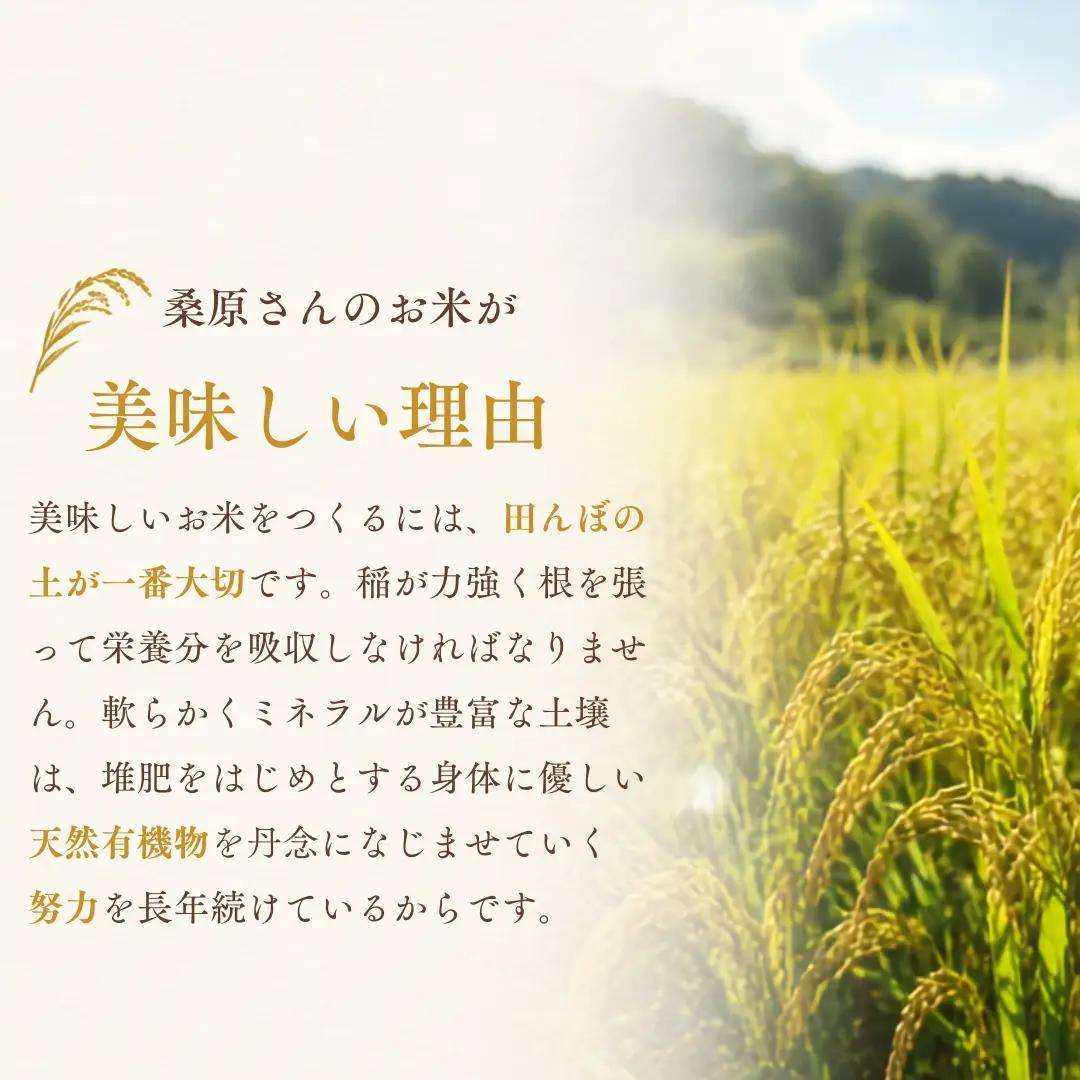 令和8年産 12ヶ月定期便 魚沼産コシヒカリ ダイヤモンド褒賞受賞 特別栽培米 15kg（5kg×3袋） |津南町 魚産