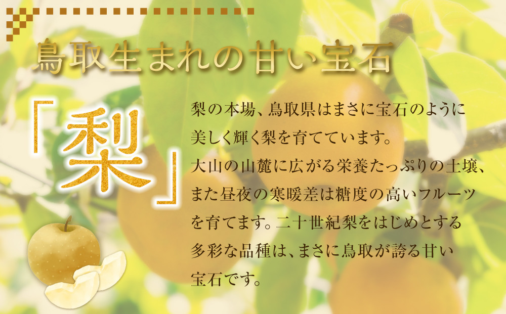 308.【先行予約】【品種はおまかせ】旬の梨ミックスセット 3kg　※2026年8月下旬～12月下旬頃に順次発送予定