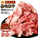 【ふるさと納税】【6回定期便】熊本県産黒毛和牛 焼肉 カルビ 切り落とし 計約3.6kg 約600g 300g×2パック 6回 霜降り くまもと黒毛和牛 和牛 牛肉 お肉 肉 バーベキュー BBQ キャンプ 炒め物 牛丼 国産 九州 熊本 冷凍 送料無料