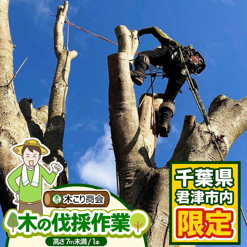 【ふるさと納税】君津市 木 の 伐採 作業 （高さ7m未満 1本） | 君津市 の 実家 君津市 の 空き家 木こり商会 地元 庭の手入れ プレゼント ばっさい イチオシ 君津市 千葉県 きみつ
