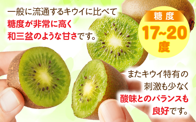 【先行受付】香川県オリジナルキウイフルーツ「さぬきキウイっこ」約2kg【香川県共通返礼品】 | キウイ キウイフルーツ 果物 フルーツ 青果 青果物 さぬきキウイっこ 果実 贈答 贈り物 ギフト 甘い