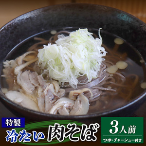 特製 冷たい肉そば (3食分) そば 鶏だし 麺 鶏 だし 出汁 スープ  そばつゆ付き 肉 鶏チャーシュー 特製スープ 冷凍 岩手県 大船渡市