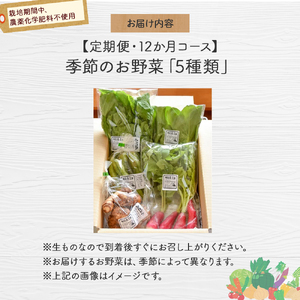 【栽培期間中、農薬・化学肥料不使用】桐島畑の季節野菜詰め合わせ(5種類)(定期便12か月コース)　Rfkh-A02 ／ やさい 国産野菜 四万十 高知 季節 フレッシュ 旬 無農薬 有機農業 野菜セッ