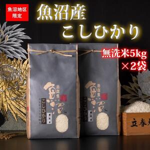【令和7年産 新米予約】魚沼産コシヒカリ【無洗米10kg】【令和7年10月中旬以降発送】【米 お米 こしひかり 南魚沼 米 無洗米 こめ 新潟 米】