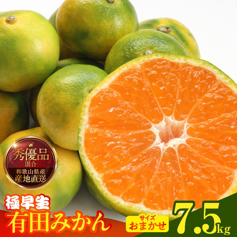 MK1071_【2026年先行予約】みかん 極早生 箱込 7.5kg ( 内容量6.8kg ) おまかせサイズ（S/M/L）秀品・優品 の混合 有田みかん 和歌山県産