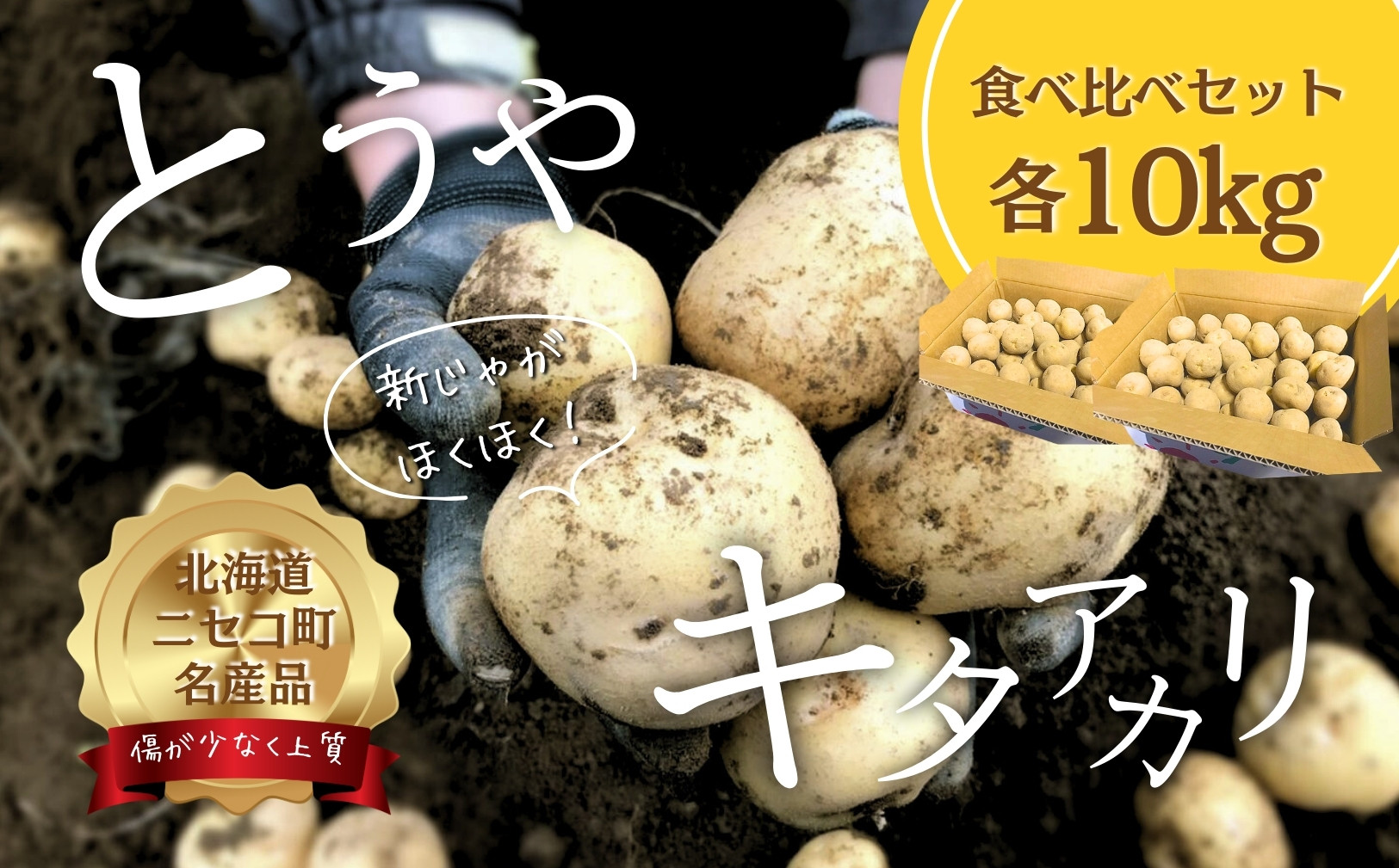 
                  《2025年分受付中》北海道ニセコ名産「キタアカリ」＆「とうや」!新じゃが食べ比べセット（各10kg）/高橋農園【3700701】
                