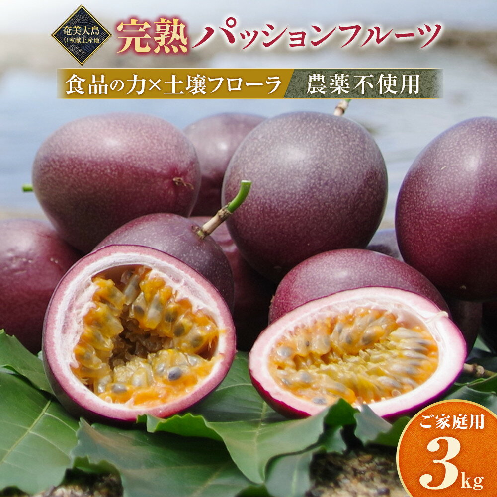 【ふるさと納税】期間限定【農薬不使用】奄美完熟パッションフルーツ 約3kg（農家直送） | 果物 南国フルーツ 季節限定 ジューシー フレッシュ 果実 詰合せ 鹿児島県 奄美大島