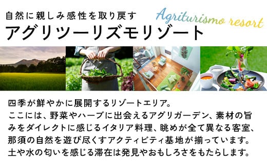 星野リゾート リゾナーレ那須 宿泊ギフト券（90,000円分）｜ 宿泊 旅行 チケット 宿泊券 旅行券 観光 国内旅行 那須 栃木県 那須町〔P-121〕
※着日指定不可