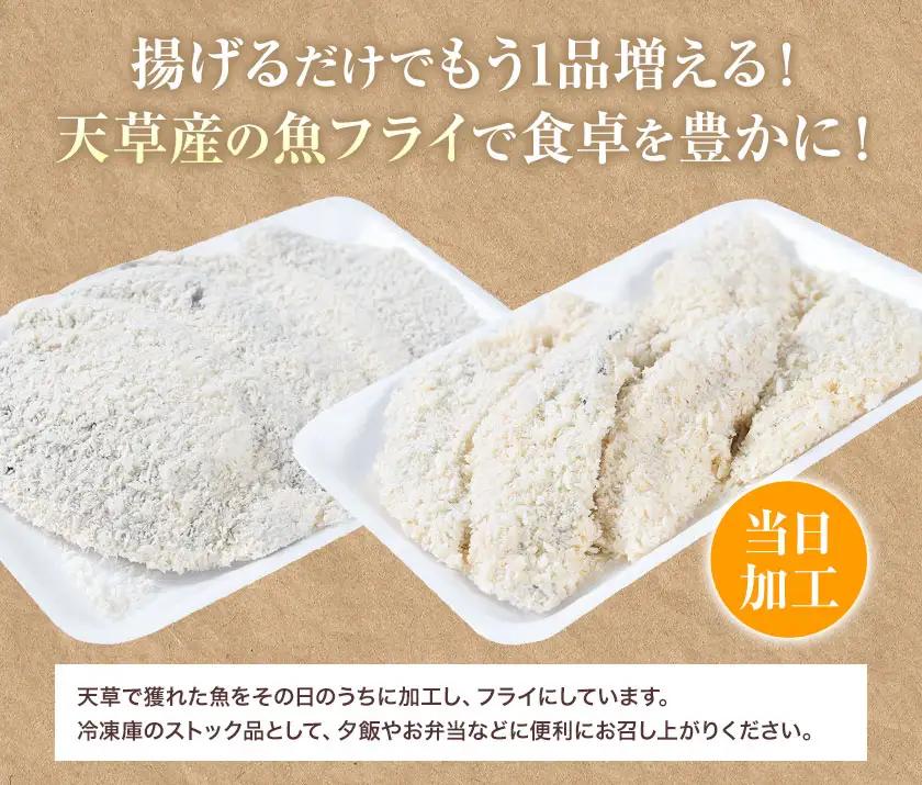 天草産 お魚屋さんの地魚フライセット（5-6切れ入り）6パック《30日以内に出荷予定(土日祝除く)》高橋商店