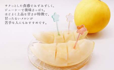 熊本県たまな産 キンショウ メロン 2玉 （ 約 1.4kg ）  | フルーツ 果物 くだもの 旬 メロン キンショウメロン 熊本県 玉名市