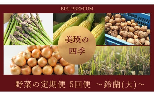 【令和７年産予約受付！】～美瑛の四季～ 野菜の定期便【鈴蘭(大)】5回便 |  アスパラ とうもろこし 玉ねぎ いも 芋 イモ じゃがいも ジャガイモ 米 こめ お米 コメ 食べ比べ 送料無料 セット人気 おすすめ ランキング 美瑛 北海道 美瑛町 北海道美瑛 令和7年産 野菜 5か月 5回便 5回[085-02]