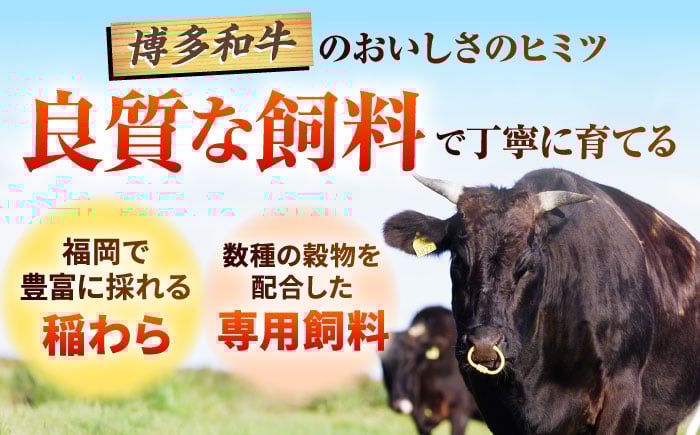 博多和牛 国産牛 サーロインステーキ