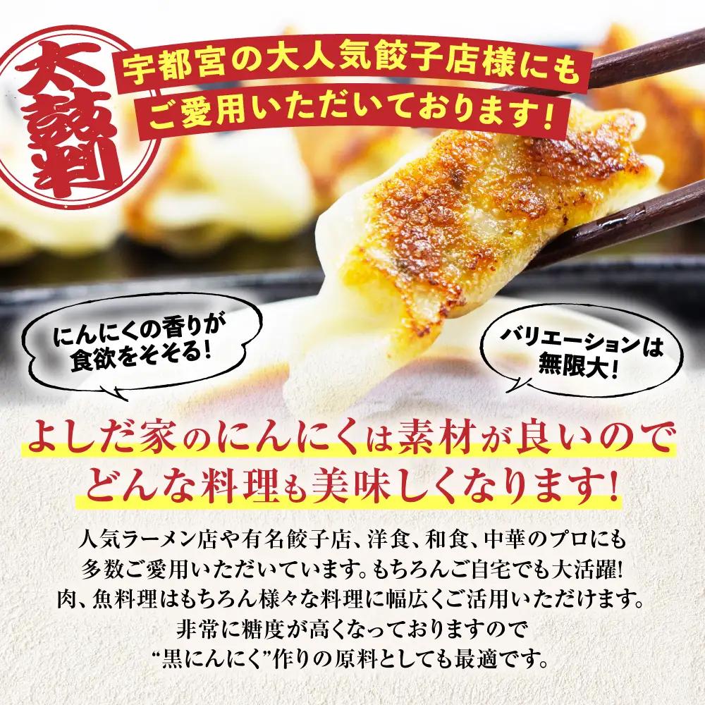 青森県産にんにく 中サイズ 800g 福地ホワイト にんにく