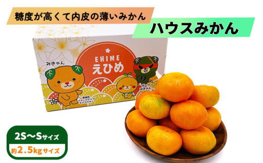 【先行予約】 8月上旬から発送 ハウスみかん 2S～Sサイズ 2.5kg（愛媛県産 みかん 蜜柑 オレンジ 柑橘 果物 フルーツ 家庭用 お取り寄せ おすすめ 愛媛県 松山市 ）