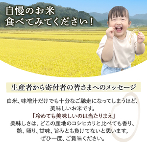 令和8年産米 コシヒカリ 玄米 20kg 新米