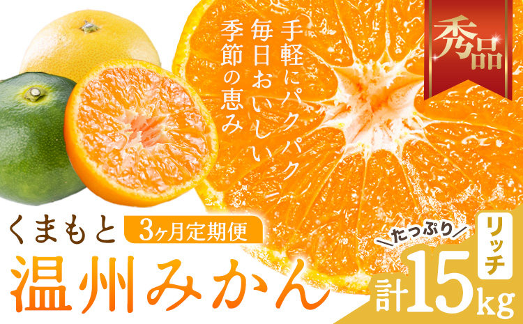 【3ヶ月定期便】みかん 定期便 秀品 温州みかん リッチ 計15kg 日本フルーツ株式会社《10月上旬-12月末頃出荷》熊本県 長洲町 ミカン 蜜柑 柑橘類 極早生 早生 中生 果物 フルーツ