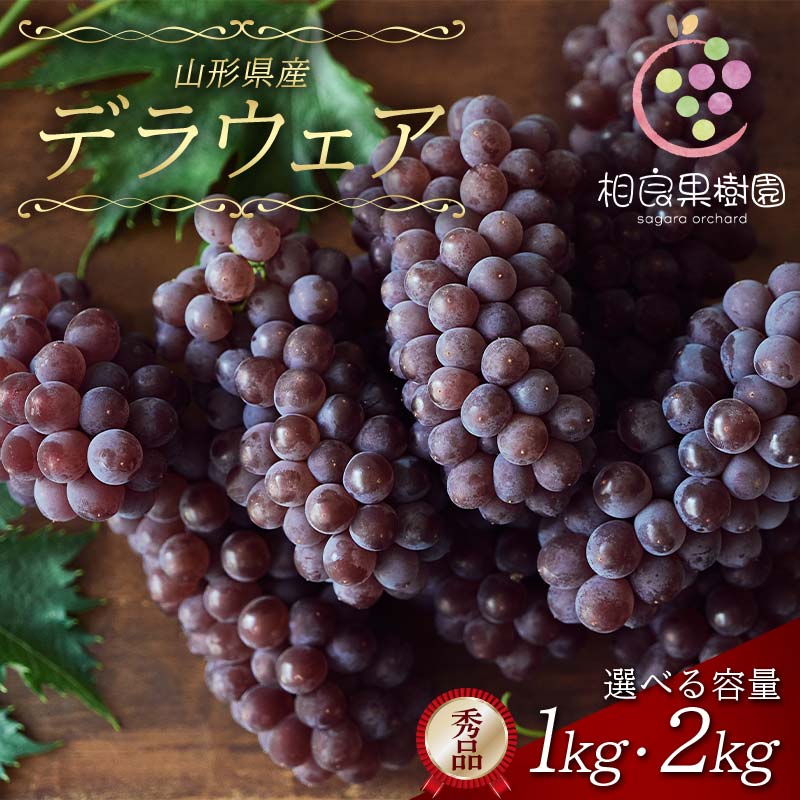 【ふるさと納税】 ≪2026年先行予約≫【相良果樹園】贈答用 山形県産 種無しぶどう デラウェア 【選べる容量】1kg(5～6房)／2kg(9～12房) 秀品 個包装 2026年7月上旬から順次発送 F2Y-6511var