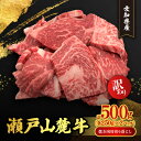 【ふるさと納税】訳あり　瀬戸山麓牛焼肉用切落し500g(250g×2P)【配送不可地域：離島】【1467593】