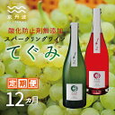 【ふるさと納税】【定期便・全12回】スパークリング「てぐみ」 12カ月 定期便 【 ワイン定期便 丹波ワイン 国産ぶどう使用 国産ワイン 酸化防止剤無添加 白ワイン ロゼ ワイン 】