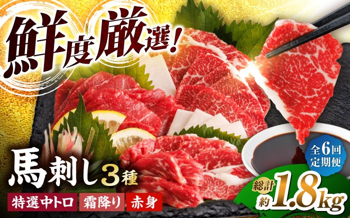 
                  【6回定期便】馬刺し バラエティセット 3種類 ～3・4人前～ ＋タレ小 馬刺し 食べ比べ セット 特選霜降り馬刺し 霜降り馬刺し 馬刺し 馬肉 桜肉 馬 肉 霜降り 中トロ 赤身 タレ付き 冷凍 生食 肉食 刺身 九州 熊本県 特産品 山鹿 送料無料【馬刺しの郷 民守】[ZBL076]
                